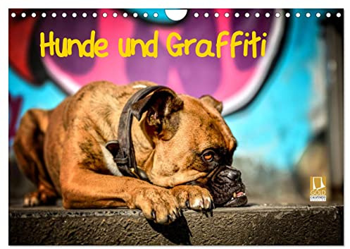 Hunde und Graffiti (Wandkalender 2026 DIN A4 quer), CALVENDO Monatskalender: Mit Hunden an bunten Graffitiwänden in der Stadt unterwegs (CALVENDO Tiere)
