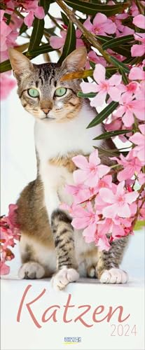 Katzen 2024: Schmaler Wandkalender. Fotokunst-Kalender mit Katzen. PhotoArt Vertikal Format: 28,5x69 cm.