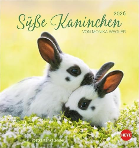 Süße Kaninchen Postkartenkalender 2026: Tierfotografin Monika Wegler setzt in einem kleinen Kalender niedliche Häschen in Szene. Tischkalender im Postkartenformat. (Postkartenkalender Heye)