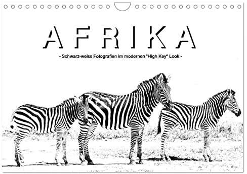 AFRIKA - Schwarz-weiss Fotografien im modernen High Key Look (Wandkalender 2026 DIN A4 quer), CALVENDO Monatskalender: Foto oder Zeichnung? Man muss ... Fotokalender (CALVENDO Tiere)