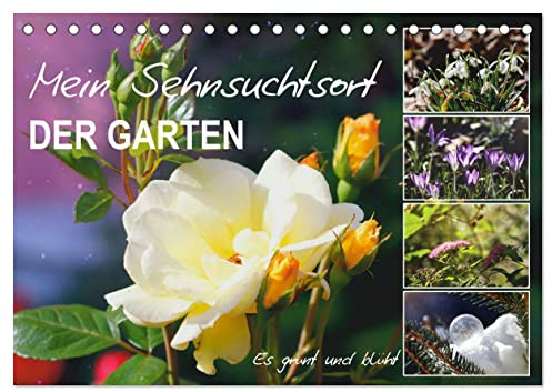 Mein Sehnsuchtsort, der Garten (Tischkalender 2026 DIN A5 quer), CALVENDO Monatskalender: Zauberhafte Naturfotografie im Garten (CALVENDO Natur)