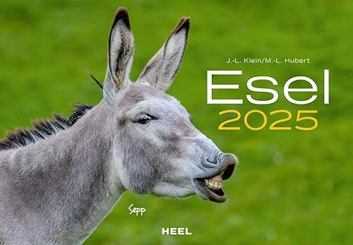 Esel Kalender 2025: Der Tierkalender mit den charmanten Namen Wandkalender