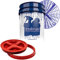 detailmate Profi Set Auto Reinigung: Wasch Eimer 5 GAL (ca. 20 Liter) / Gamma Seal Eimerdeckel rot/Grit Guard Einsatz blau