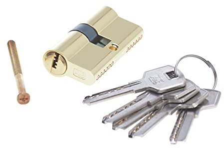 Cylindre de serrure profilé 35/35 en laiton avec 5 clés
