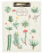 Kokonote Klemmbrettmappe A4, Klemmbrett Mappe mit Motiv Botanical Cacti - Schreibbrett Klemmbrett A4