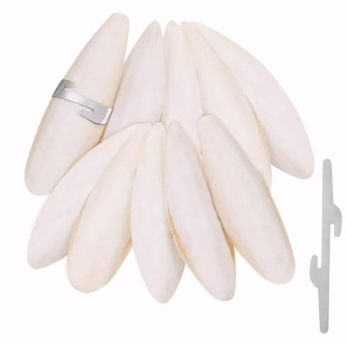 LHOEST Lot de 10 bols à sépia pour tortues - 9-12 cm - Avec support - Pour tortues - Accessoires pour reptiles - Pour animaux de compagnie - Calcium et minéraux