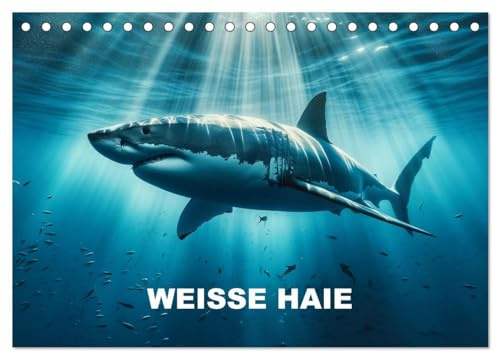 Weiße Haie (Tischkalender 2026 DIN A5 quer), CALVENDO Monatskalender: Jeden Monat epische Darstellungen weißer Haie (CALVENDO Tiere)