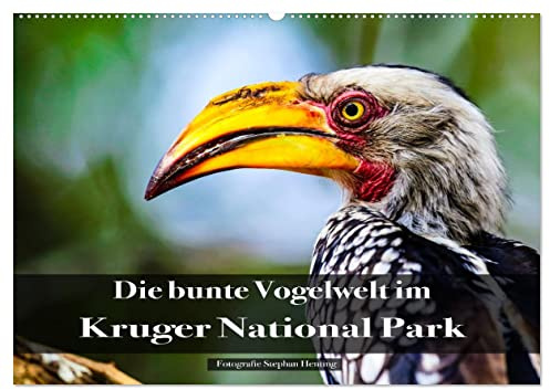 Die bunte Vogelwelt im Kruger National Park (Wandkalender 2026 DIN A2 quer), CALVENDO Monatskalender: Faszinierende Aufnahmen und ein spannender ... im Kruger National Park (CALVENDO Natur)