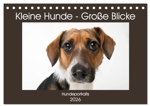 Kleine Hunde - Große Blicke (Tischkalender 2026 DIN A5 quer), CALVENDO Monatskalender: Diese Hunde werden Sie mit ihren Blicken verzaubern! (CALVENDO Tiere)