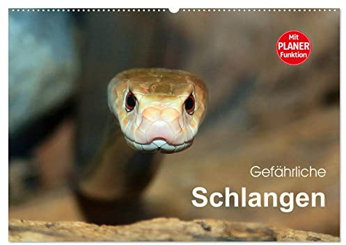 Gefährliche Schlangen (Wandkalender 2026 DIN A2 quer), CALVENDO Monatskalender: Gift- und Würgeschlangen der Welt im Portrait (CALVENDO Tiere)