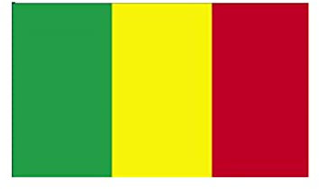 Stormflag Drapeau Mali 90x150cm Drapeau Malien 3x5ft polyester 90g avec œillets et Double couture