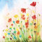 20 Servietten Blumenwiese im Sommer Mohnblume 24x24 cm