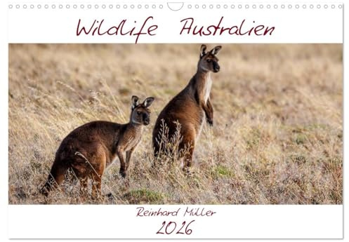 Wildlife Australien (Wandkalender 2026 DIN A3 quer), CALVENDO Monatskalender: Eine Hommage an die Tierwelt Australiens, die so sehr unter den Bränden im Jahr 2020 zu leiden hatte. (CALVENDO Natur)