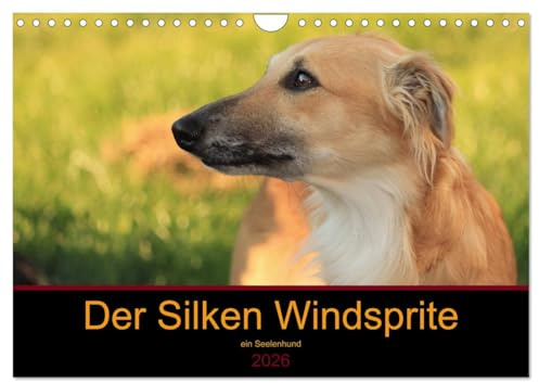 Der Silken Windsprite - ein Seelenhund (Wandkalender 2026 DIN A4 quer), CALVENDO Monatskalender: Der Silken Windsprite - eine Rasse mit Charme und Esprit (CALVENDO Tiere)