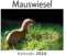 Mauswiesel (Wandkalender 2024, Kalender DIN A4 quer, Monatskalender im Querformat mit Kalendarium, Das perfekte Geschenk)