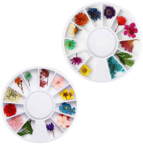 2 Boxes Daisy Nail Dried Flowers Natural Art Real 3D Dry Flowers Nail Art Decorations Set