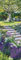 DUMONT - Gärten 2025 Wandkalender, 34x98cm, Fotokunst-Kalender mit Einblicken in einzigartige Gärten, inspirierend für Gartenliebhaber: Gardens