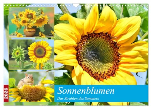 Sonnenblumen. Das Strahlen des Sommers (Wandkalender 2026 DIN A3 quer), CALVENDO Monatskalender: Leuchtendes Gelb im Sommerwind (CALVENDO Natur)