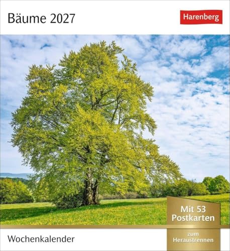 Bäume Postkartenkalender 2027 - Wochenkalender mit 53 Postkarten: Fotokalender mit 53 Postkarten zum Sammeln und Verschicken. Dekorative ... Fotografen. Wochen-Tischkalender 2027