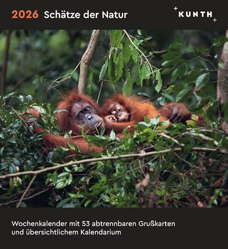 Schätze der Natur - KUNTH Postkartenkalender 2026: Hochwertiger Tischkalender mit 53 traumhaften Postkarten (auch zum Aufhängen) (KUNTH Postkartenkalender 52 Wochen)
