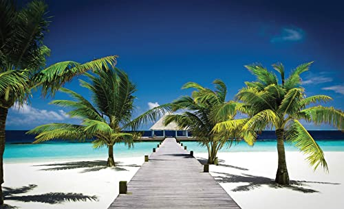 Forwall Fototapete Strand Meer Karibik Hawaii Natur Landschaft Wohnzimmer Schlafzimmer Vlies Tapete Wandtapete UV-Beständig Montagefertig (891, V4 (254x184 cm) 2 Bahnen)