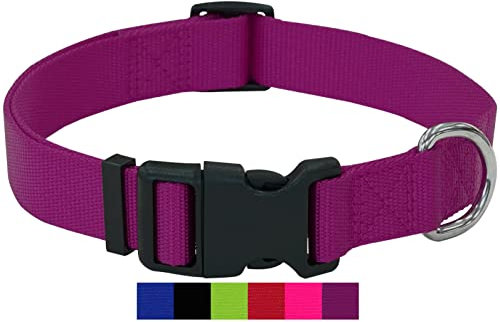 DEY - Premium Hundehalsband Nylon | Verstellbar | für Kleine u. Große Hunde | viele Farben u. Größen | Hund Katze Welpe | Hunde-Halsbänder | Katzen-Halsband | Welpen-Halsband | Lila, M