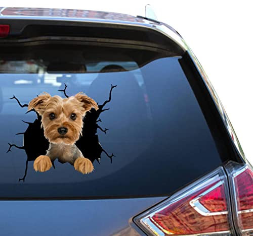 Camellia Print Yorkie-Aufkleber für Autofenster, Yorkshire Terrier, wasserdicht, UV-beständig, lebendiges Design, einfache Anwendung und lange Haltbarkeit. (Yorkie-Aufkleber)