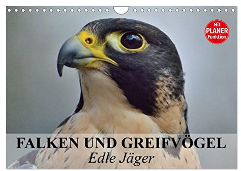 Falken und Greifvögel - Edle Jäger (Wandkalender 2025 DIN A4 quer), CALVENDO Monatskalender: Blitzschnelle und edle Jäger auch im Dienste der Menschen (CALVENDO Tiere)
