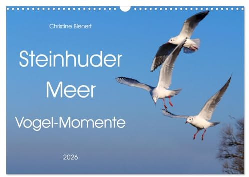 Steinhuder Meer, Vogel-Momente (Wandkalender 2026 DIN A3 quer), CALVENDO Monatskalender: Herrliche Schnappschüsse der Vogelwelt (CALVENDO Tiere)