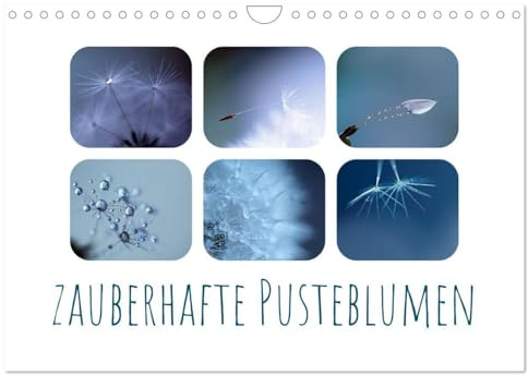 Zauberhafte Pusteblumen (Wandkalender 2026 DIN A4 quer), CALVENDO Monatskalender: Tauchen Sie ein in die zauberhafte Welt der Pusteblumen (CALVENDO Natur)