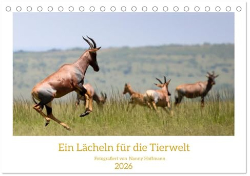 Ein Lächeln für die Tierwelt (Tischkalender 2026 DIN A5 quer), CALVENDO Monatskalender: Portraits von Tieren in ihrem Lebensraum (CALVENDO Tiere)