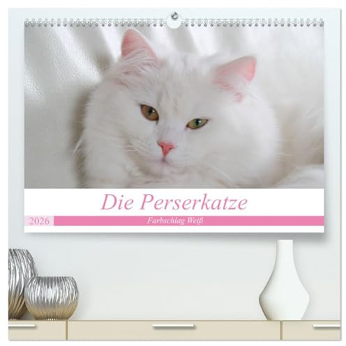 Die Perserkatze - Farbschlag Weiß (hochwertiger Premium Wandkalender 2026 DIN A2 quer), Kunstdruck in Hochglanz: Unser geliebter Stubentiger (CALVENDO Tiere)