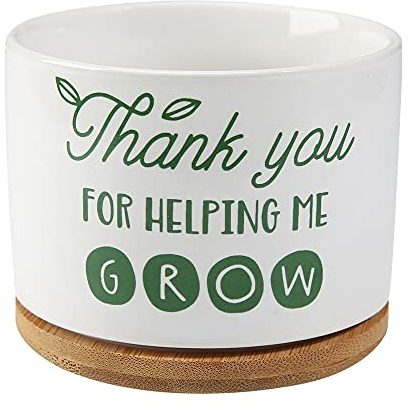 DOMG Keramik-Sukkulenten-Blumentopf für Lehrer, Kleiner Blumentopf, Dankeschön für Helping Me Grow