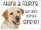 CARTELLO CANE - LABRADOR Attenti al padrone qui l'unico normale sono io - Con Adesivo in Vinile e Pannello in Forex (Adesivo)
