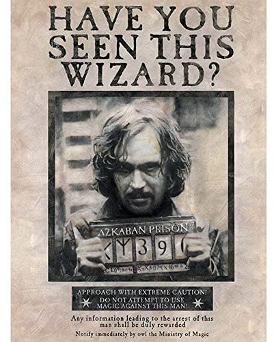 Harry Potter Wanted Poster Sirius Black Leinwanddruck (80 x 60 cm) (cremefarben/schwarz), cremefarben / schwarz, 80L x 60W cm