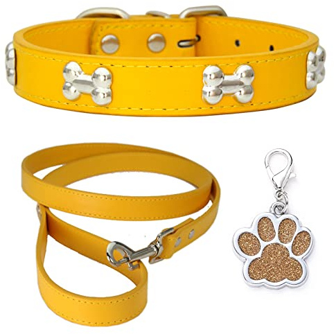 HALFSUMO Hundehalsband Leder Halsband Hundeleine Combo Set Hundehalsbänder Verstellbares Welpenhalsband für Kleine Mittelgroße Hunde Katzen Golden S