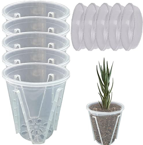 Rosixehird pépinière - Lot 5 pépinière d'orchidées Transparents avec Drainage latéral et inférieur - Plantation Fleurs Rondes pour orchidées, Serpent, Menthe, Cactus
