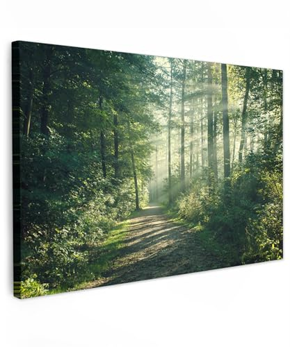 MuchoWow© Wandbilder Groß XXL Schlafzimmer Home Deko Wandbild Wohnung | 140x90 cm - Bild Wohnzimmer Fotoleinwand Panorama Leinwand Wall Decor Wald - Weg - Sonne - Bäume - Grün - Natur