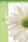 My New Life in Christ (The Fresh Start Series - An Exciting Series for Discipling New Christian woMen in Their Faith)