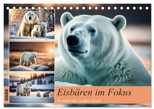 Eisbären im Fokus (Tischkalender 2026 DIN A5 quer), CALVENDO Monatskalender: Portraits der weißen Riesen (CALVENDO Tiere)