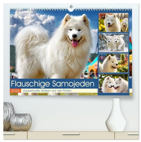 Flauschige Samojeden. Zauberhafte Wolken auf vier Pfoten (hochwertiger Premium Wandkalender 2026 DIN A2 quer), Kunstdruck in Hochglanz: Die ... in stimmungsvollen Momenten (CALVENDO Tiere)