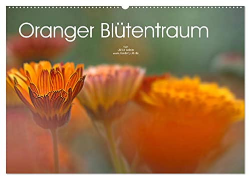 Oranger Blütentraum (Wandkalender 2026 DIN A2 quer), CALVENDO Monatskalender: Zarte orange Blütenfotos verzaubern uns das ganze Jahr (CALVENDO Natur)