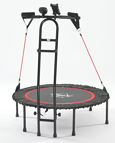 JOKA FIT Trampolin-Innovation vom Joka Fit Fitness-Trampolin, Sprungzähler Cacau 2.0, Widerstandsbänder, DVD (evtl. nicht in deutscher Sprache), Autohalterung. Seien Sie fit mit Joka Fit