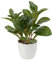 Plantas Artificiales de 22 cm en macetas para la decoración del hogar Planta de Interior de Camelia Artificial, arreglos Florales Decoración del hogar y la Oficina Bonsai de Escritorio