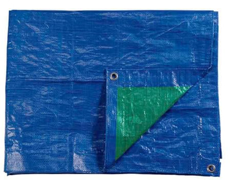 Toldo EDM Azul Verde Poliéster 90 g/m² 8 x 12 m