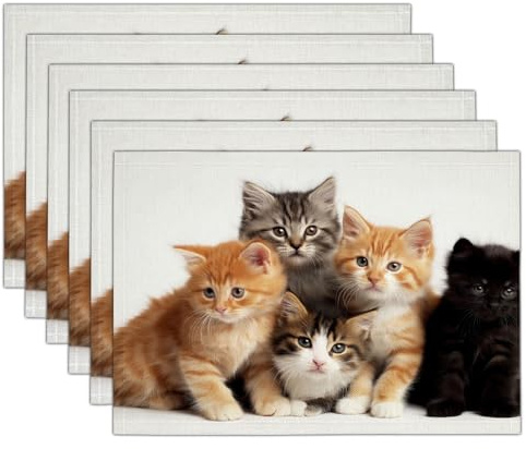Platzsets Orange Katze Schwarze Katze, Tischset Satz Mit 2er Set 45x30cm Tierrealismus Tischuntersetzer Abwaschbar Verrutscht Nicht Platzdeckchen Für Urlaub Bankett Die Küche Party Deko, Orange