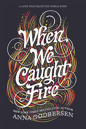 When We Caught Fire: A Sweeping YA Love Triangle Romance in 1871 Chicago