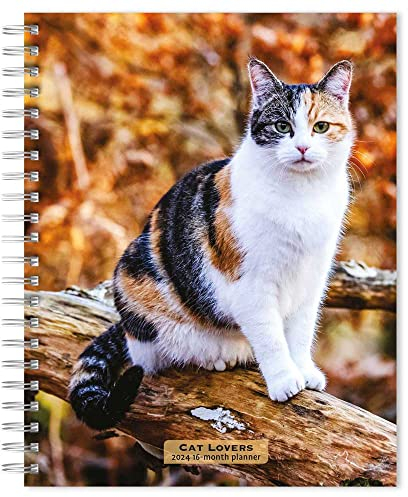 Cat Lovers 2024 Engagement