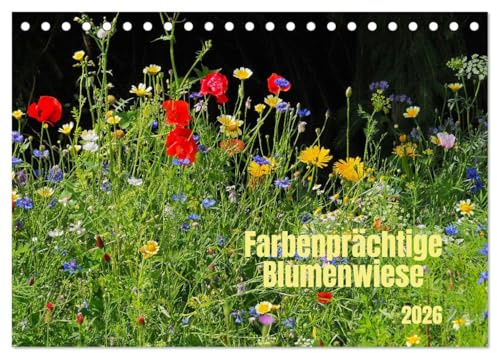 Farbenprächtige Blumenwiese (Tischkalender 2026 DIN A5 quer), CALVENDO Monatskalender: Blütenreichtum in farbiger Vielfalt (CALVENDO Natur)