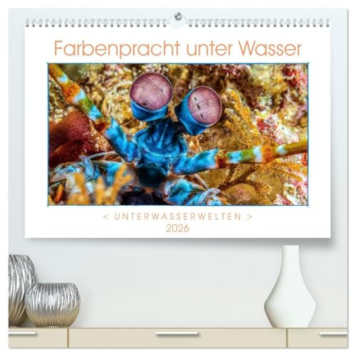 Farbenpracht unter Wasser (hochwertiger Premium Wandkalender 2026 DIN A2 quer), Kunstdruck in Hochglanz: Ein Kalender mir farbstarken und ... tropischen Unterwasserwelt. (CALVENDO Tiere)